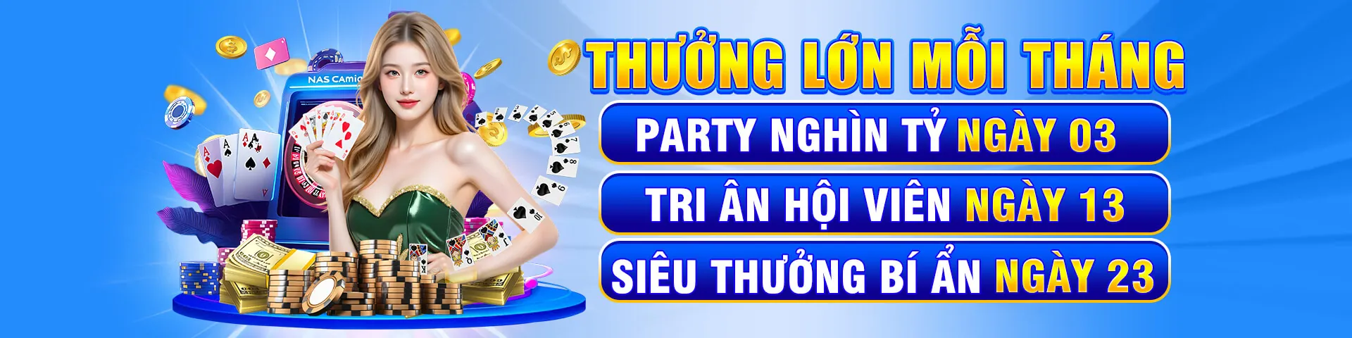 Các ngôi sao đá gà Thomo đang thi đấu trên đấu trường